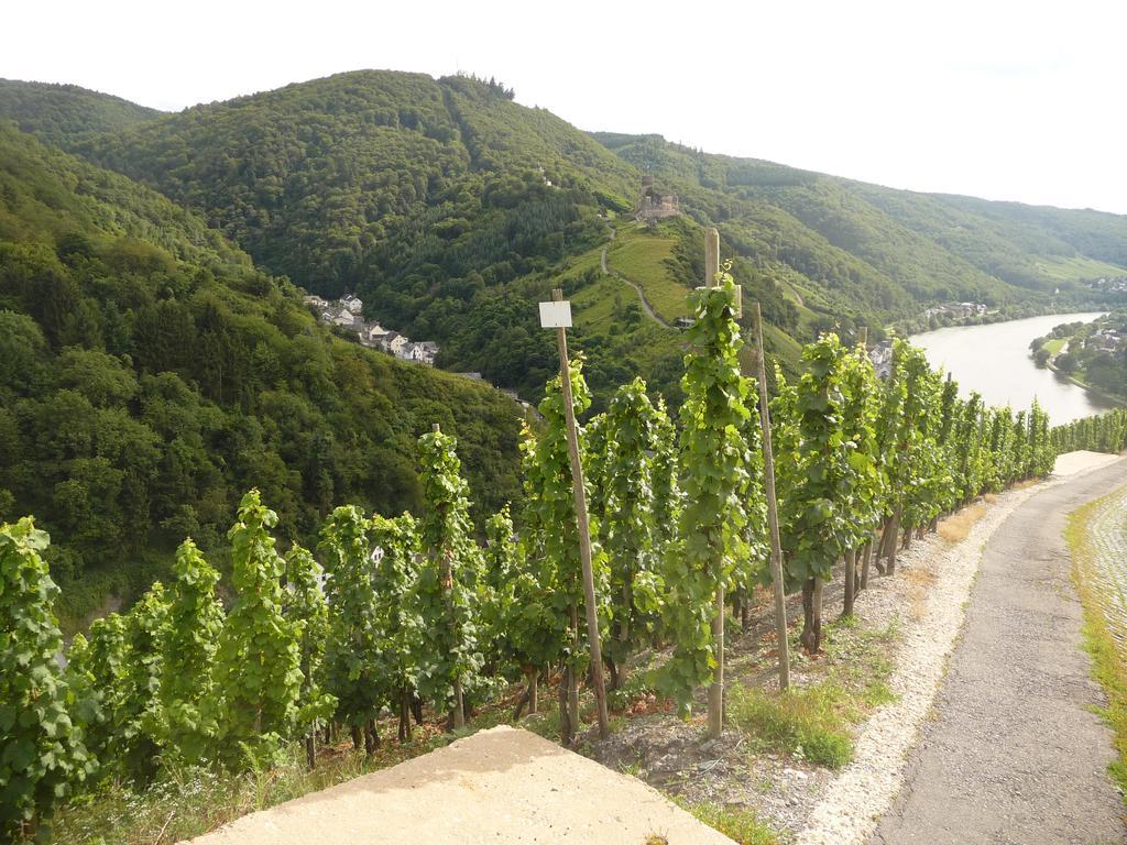 Gaestehaus Ehses Bernkastel-Kues Εξωτερικό φωτογραφία